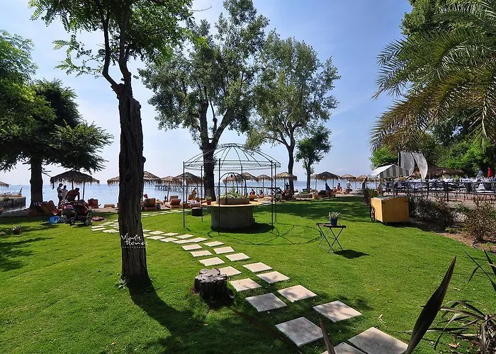 Villa Figareto *
